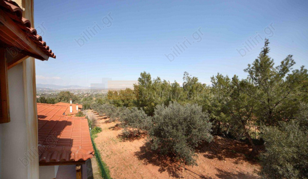 Εξωτερική όψη - Outdoor view